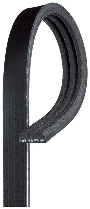 V-ribbed Belt GATES 3PK810SF
