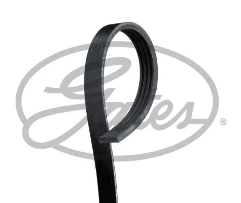 V-rebrasti pas GATES 4PK1560