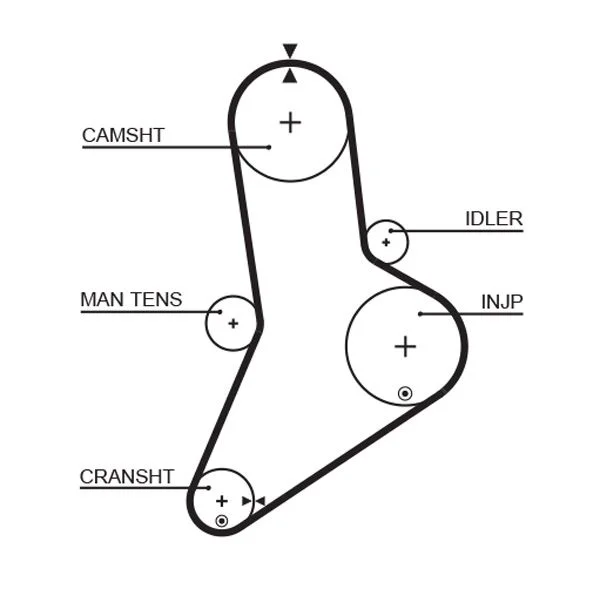 Zobni jermen GATES 5038