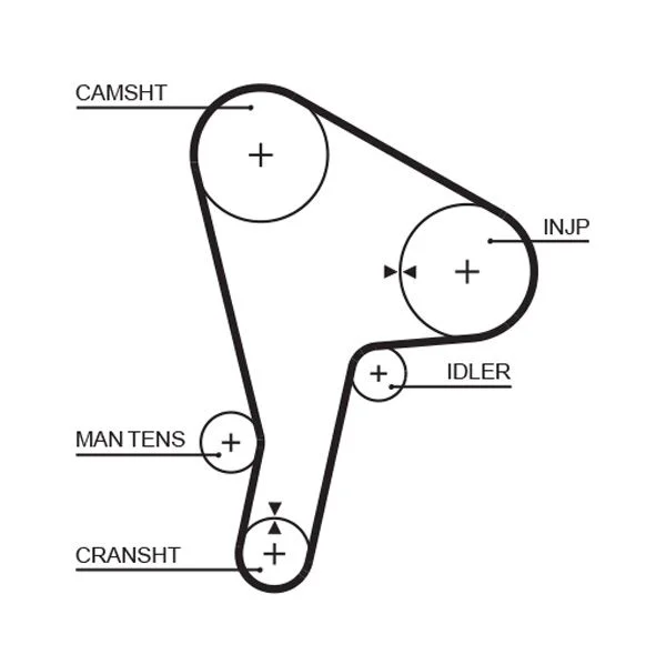Zobni jermen GATES 5190
