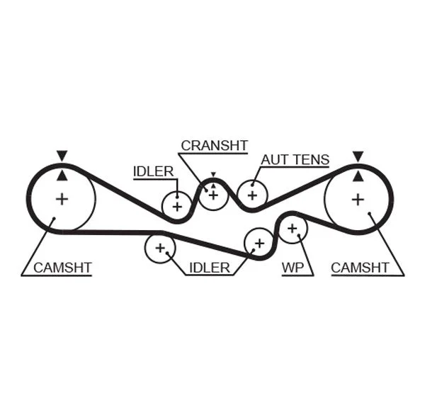 Timing Belt GATES 5241