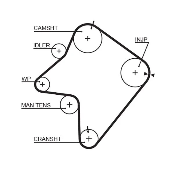 Zobni jermen GATES 5354XS