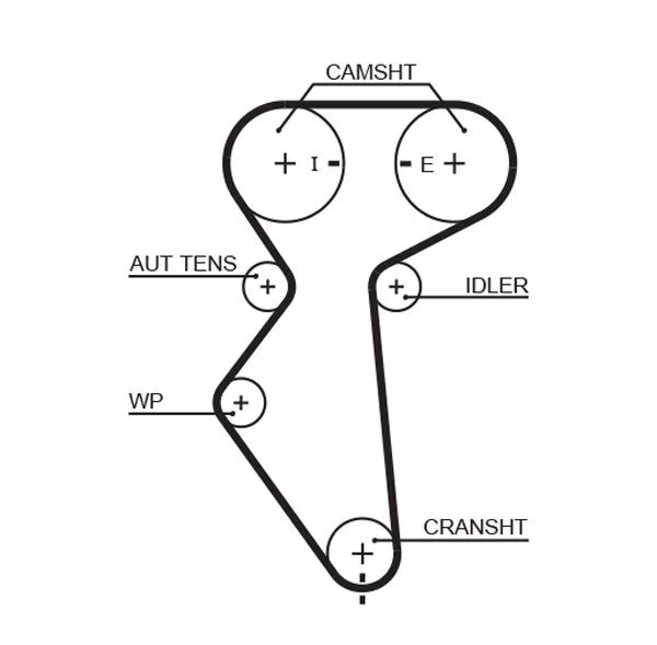 Timing Belt GATES 5419XS