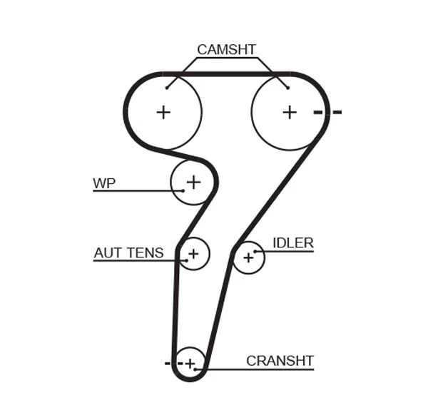 Timing Belt GATES 5429XS