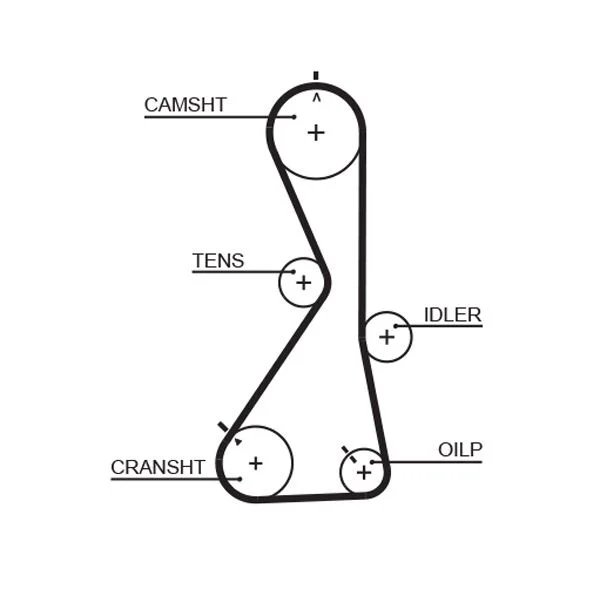 Timing Belt GATES 5481XS