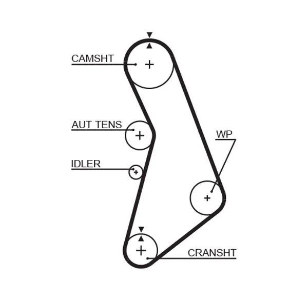 Timing Belt GATES 5491XS