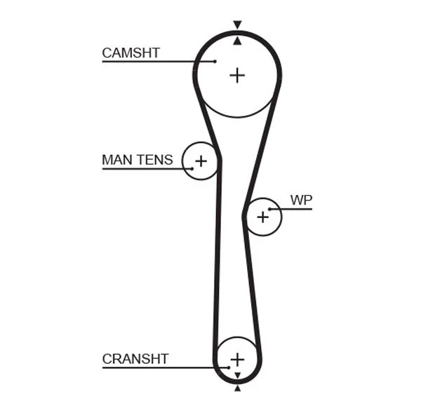 Zobni jermen GATES 5577XS