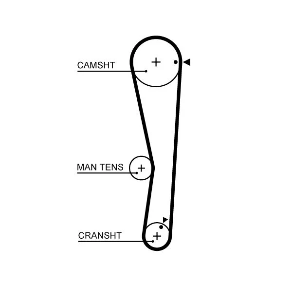 Zobni jermen GATES 5687XS