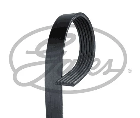 V-rebrasti pas GATES 6PK779SF