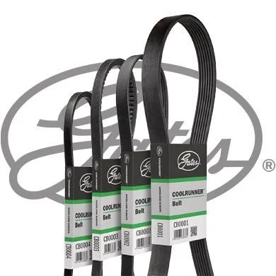 V-Belt GATES CB0049