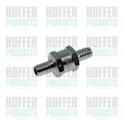 Valve, injection system HOFFER 8029043