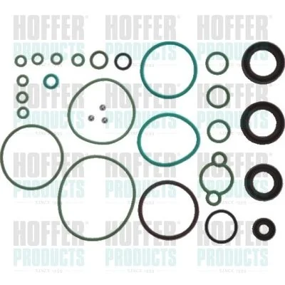 Komplet za popravilo, sistem common rail HOFFER 9156