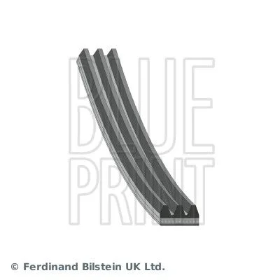 V-rebrasti pas BLUE PRINT AD03R580