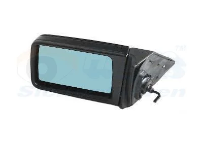 Zunanje ogledalo VAN WEZEL 3024803