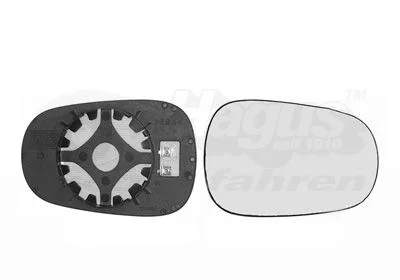 Mirror Glass, exterior mirror VAN WEZEL 4323838