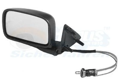 Exterior Mirror VAN WEZEL 5813804