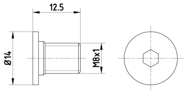 Bolt, brake disc TEXTAR TPM0002