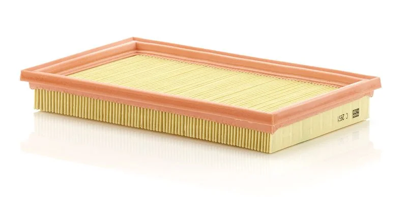 Zračni filter MANN-FILTER C 2851
