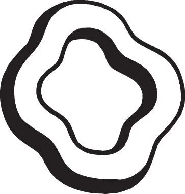 Pritrditev, izpušni sistem BOSAL 255-013