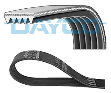 V-rebrasti pas DAYCO 5PK1585