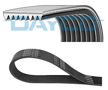 V-rebrasti pas DAYCO 8PK1255HD