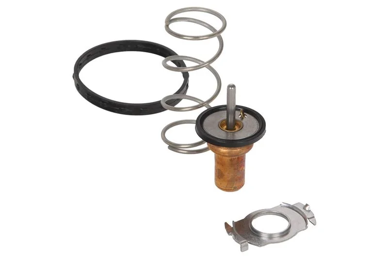 Termostatas, aušinimo skystis CONTINENTAL 28020041452