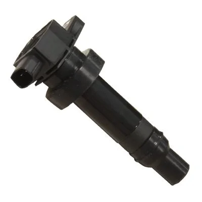 Ritė, uždegimas HITACHI 134035