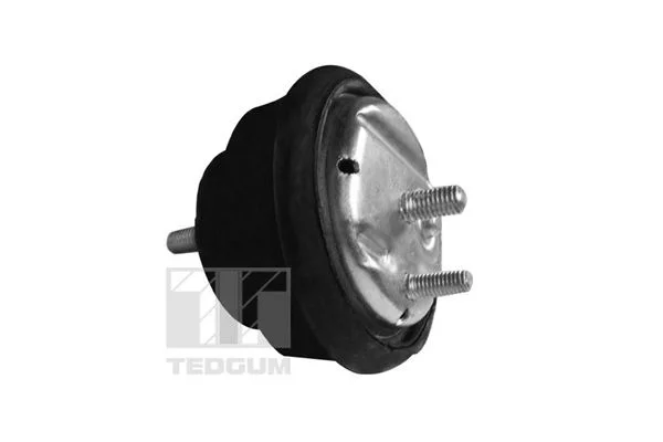 Mounting, engine TEDGUM 00089778