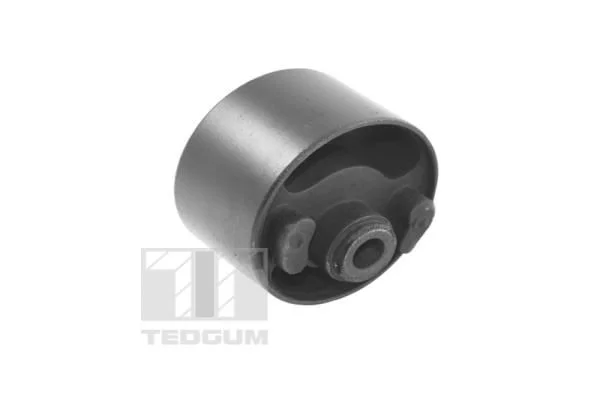 Pritrditev, motor TEDGUM 00055708