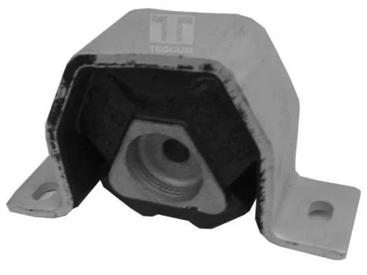 Pritrditev, motor TEDGUM 00212975