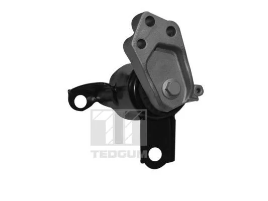 Pritrditev, motor TEDGUM 00228507