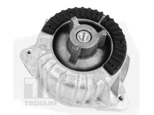 Pritrditev, motor TEDGUM 00418473