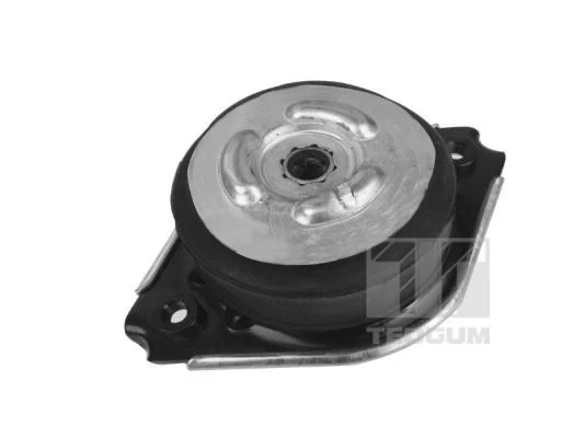 Pritrditev, motor TEDGUM 00418536