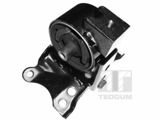 Pritrditev, motor TEDGUM 00466350