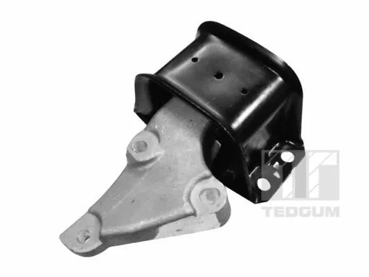 Pritrditev, motor TEDGUM 00516309