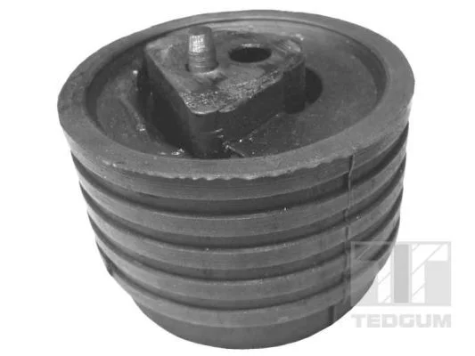Mounting, engine TEDGUM 00614322