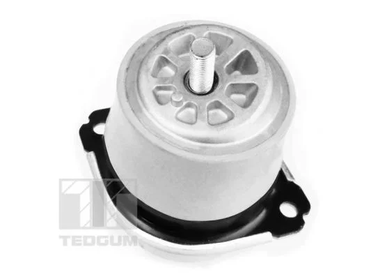 Pritrditev, motor TEDGUM 00728486