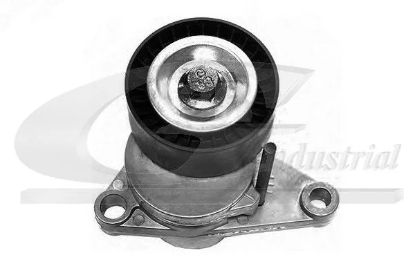 Tensioner Lever, V-ribbed belt 3RG 13201