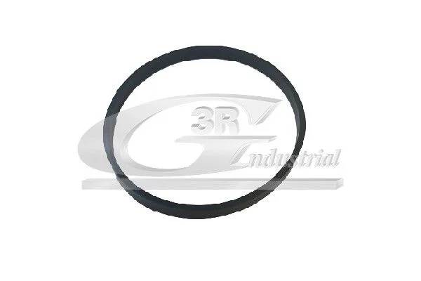 Gasket, intake manifold 3RG 36705