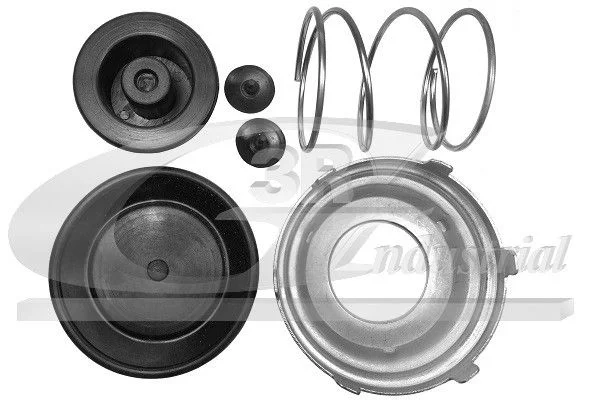 Repair Kit, fuel pump 3RG 80033