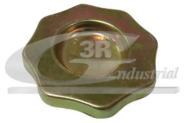 Cap, oil filler neck 3RG 81281