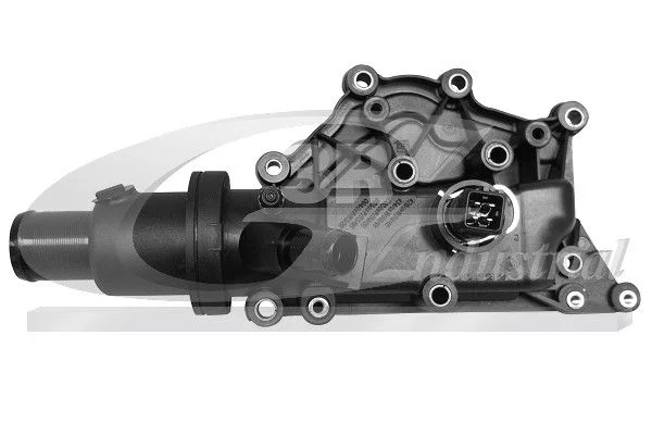 Thermostat, coolant 3RG 81620