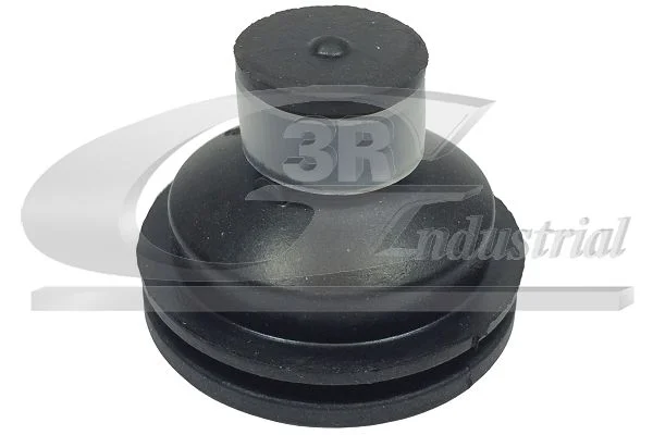 Mounting, engine 3RG 81653