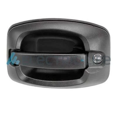 Exterior Door Handle Electric Life ZR80581