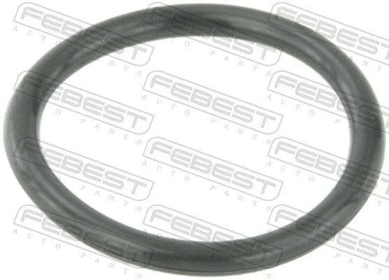 Gasket, coolant flange FEBEST RINGWH-B5