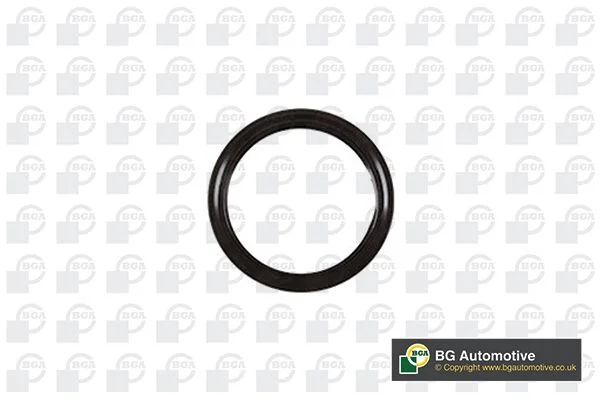 Shaft Seal, crankshaft BGA OS3387