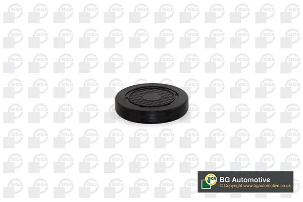 Plug, rocker arm shaft mounting bore BGA PL4601