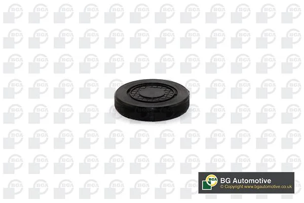 Plug, rocker arm shaft mounting bore BGA PL4602