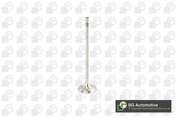 Intake Valve BGA V016839