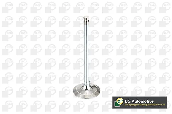 Intake Valve BGA V017062